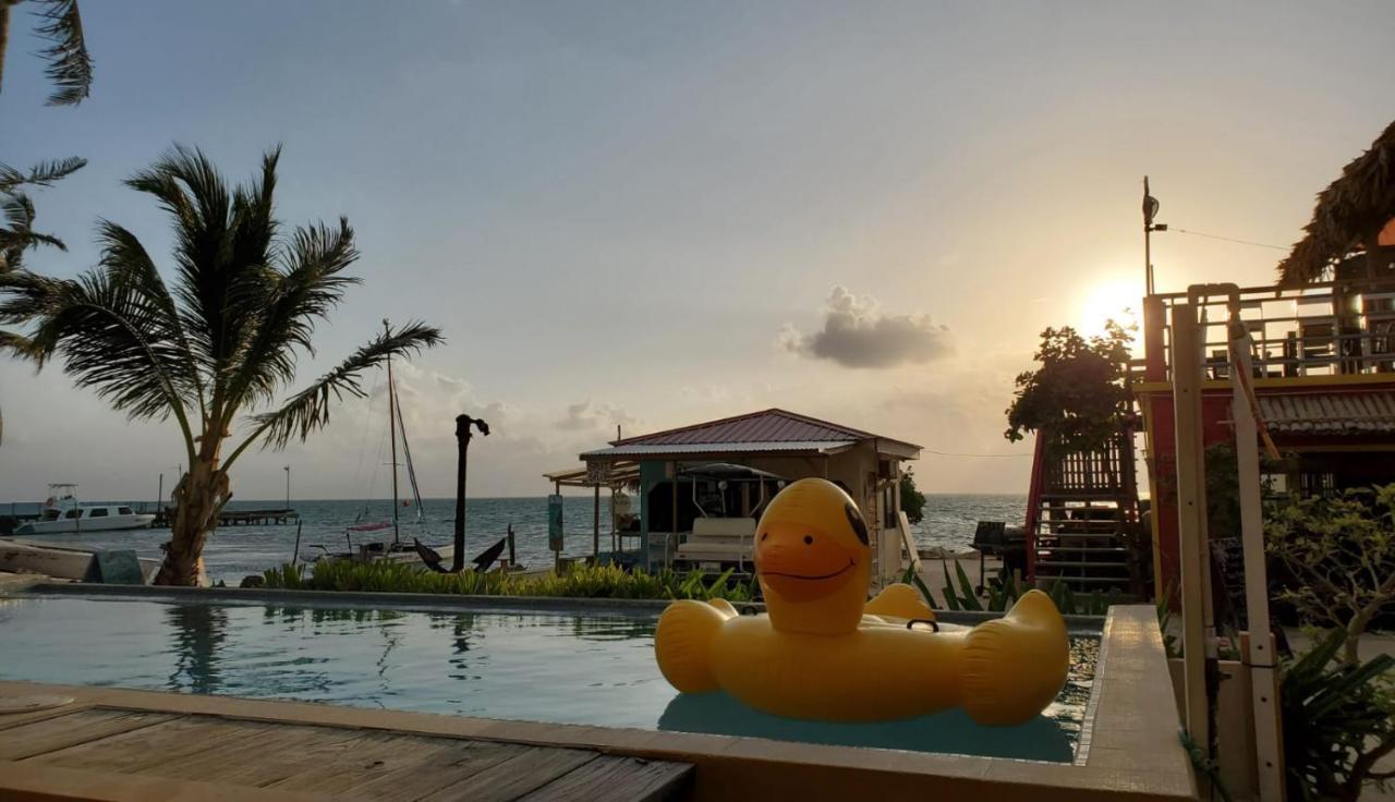 Beach Club Condos At Popeyes كاي كولكر المظهر الخارجي الصورة