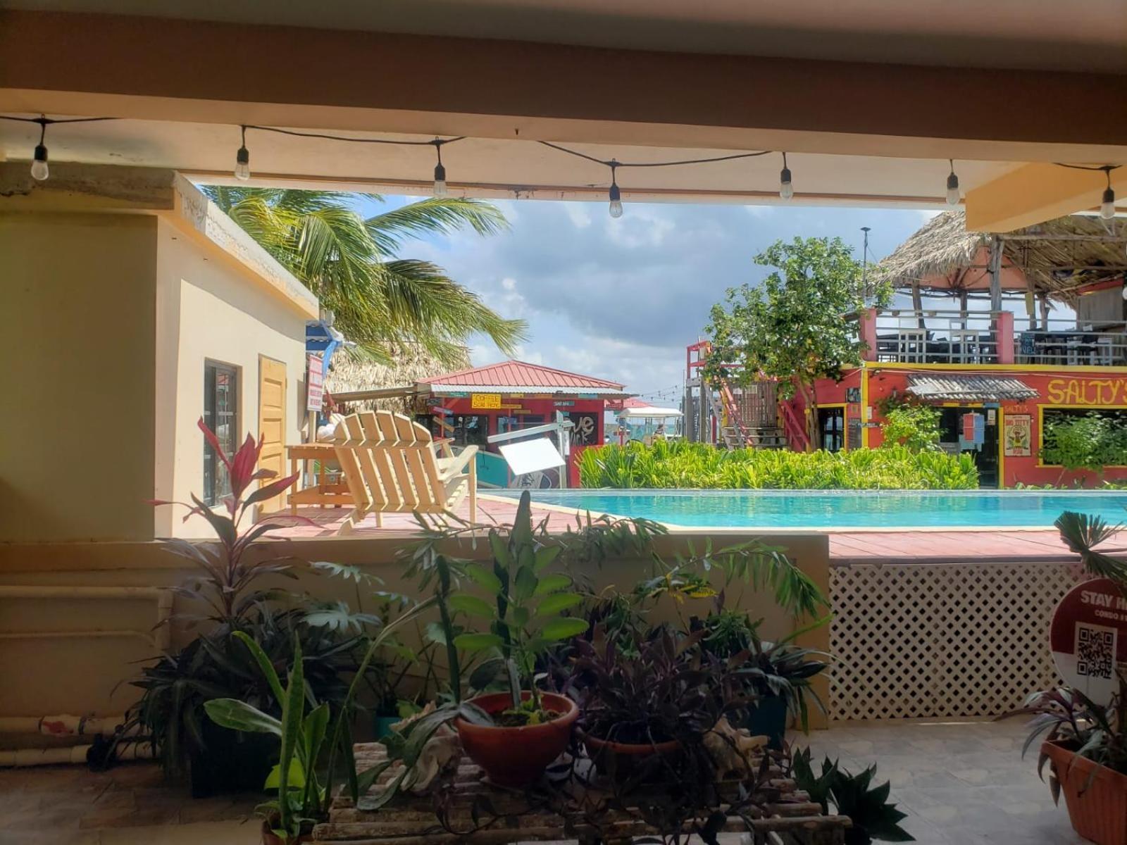 Beach Club Condos At Popeyes كاي كولكر المظهر الخارجي الصورة